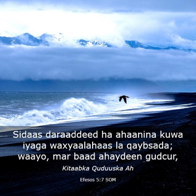 Picture 03 - Efesos 5:7 SOM - Sidaas daraaddeed ha ahaanina kuwa iyaga - Bible Verse Picture