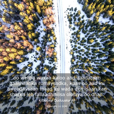 Picture 03 - Efesos 6:16 SOM - oo weliba waxaa kaloo aad qaadataan gaashaanka - Bible Verse Picture