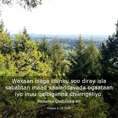 Picture 03 - Efesos 6:22 SOM - Waxaan isaga idiinku soo diray isla sababtan - Bible Verse Picture