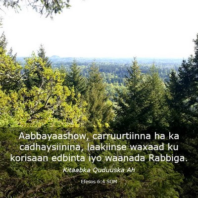Picture 03 - Efesos 6:4 SOM - Aabbayaashow, carruurtiinna ha ka cadhaysiinina, - Bible Verse Picture