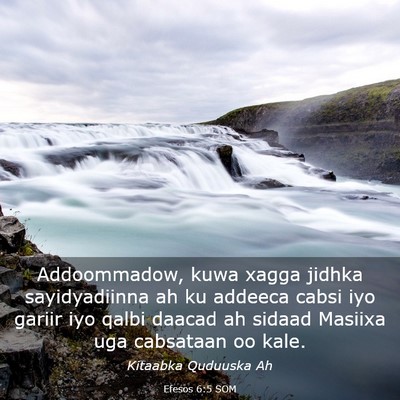 Picture 03 - Efesos 6:5 SOM - Addoommadow, kuwa xagga jidhka sayidyadiinna ah - Bible Verse Picture