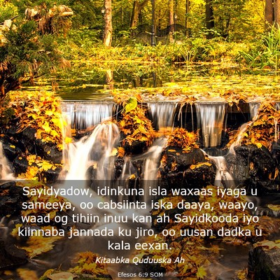 Picture 03 - Efesos 6:9 SOM - Sayidyadow, idinkuna isla waxaas iyaga u sameeya, - Bible Verse Picture