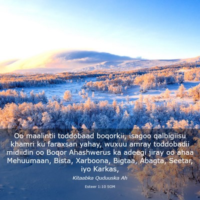 Picture 03 - Esteer 1:10 SOM - Oo maalintii toddobaad boqorkii, isagoo - Bible Verse Picture