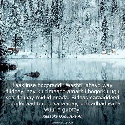 Picture 03 - Esteer 1:12 SOM - Laakiinse boqoraddii Washtii ahayd way diidday - Bible Verse Picture