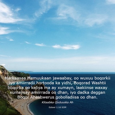 Picture 03 - Esteer 1:16 SOM - Markaasaa Memuukaan jawaabay, oo wuxuu boqorkii - Bible Verse Picture