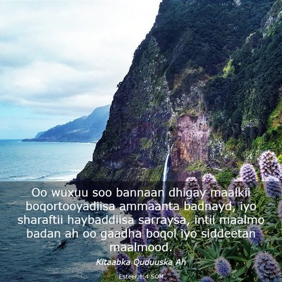 Picture 03 - Esteer 1:4 SOM - Oo wuxuu soo bannaan dhigay maalkii - Bible Verse Picture