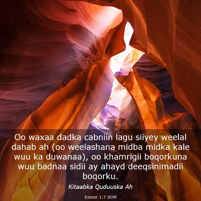 Picture 03 - Esteer 1:7 SOM - Oo waxaa dadka cabniin lagu siiyey weelal dahab - Bible Verse Picture