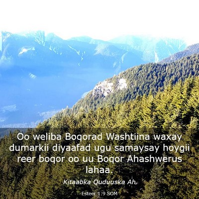 Picture 03 - Esteer 1:9 SOM - Oo weliba Boqorad Washtiina waxay dumarkii - Bible Verse Picture