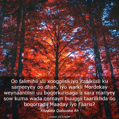 Picture 03 - Esteer 10:2 SOM - Oo falimihii uu xooggiisii iyo itaalkiisii ku - Bible Verse Picture