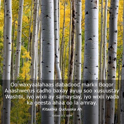 Picture 03 - Esteer 2:1 SOM - Oo waxyaalahaas dabadood markii Boqor Ahashwerus - Bible Verse Picture