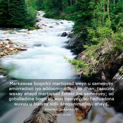 Picture 03 - Esteer 2:18 SOM - Markaasaa boqorkii martiqaad weyn u sameeyey - Bible Verse Picture