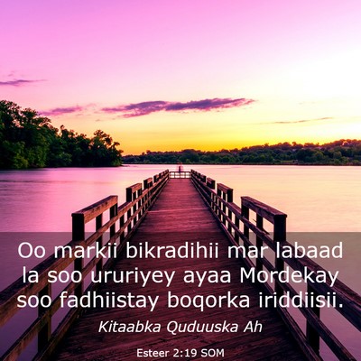 Picture 03 - Esteer 2:19 SOM - Oo markii bikradihii mar labaad la soo ururiyey - Bible Verse Picture