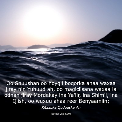 Picture 03 - Esteer 2:5 SOM - Oo Shuushan oo hoygii boqorka ahaa waxaa jiray - Bible Verse Picture
