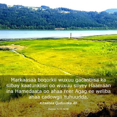 Picture 03 - Esteer 3:10 SOM - Markaasaa boqorkii wuxuu gacantiisa ka siibay - Bible Verse Picture