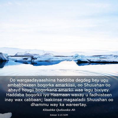 Picture 03 - Esteer 3:15 SOM - Oo warqaadayaashiina haddiiba degdeg bay ugu - Bible Verse Picture