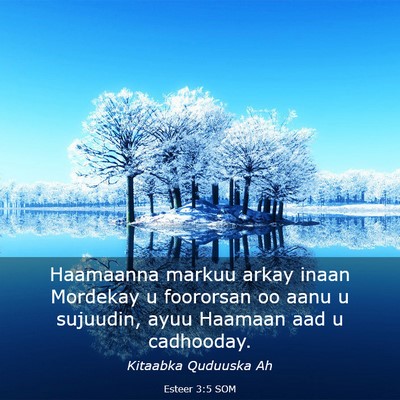 Picture 03 - Esteer 3:5 SOM - Haamaanna markuu arkay inaan Mordekay u foororsan - Bible Verse Picture