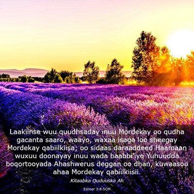 Picture 03 - Esteer 3:6 SOM - Laakiinse wuu quudhsaday inuu Mordekay oo qudha - Bible Verse Picture