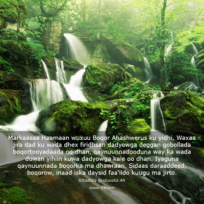 Picture 03 - Esteer 3:8 SOM - Markaasaa Haamaan wuxuu Boqor Ahashwerus ku - Bible Verse Picture