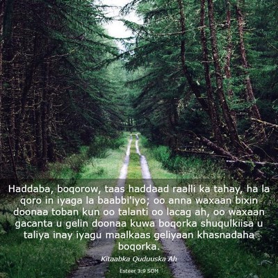Picture 03 - Esteer 3:9 SOM - Haddaba, boqorow, taas haddaad raalli ka tahay, - Bible Verse Picture