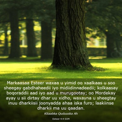 Picture 03 - Esteer 4:4 SOM - Markaasaa Esteer waxaa u yimid oo xaalkaas u soo - Bible Verse Picture