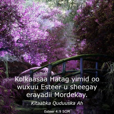 Picture 03 - Esteer 4:9 SOM - Kolkaasaa Hatag yimid oo wuxuu Esteer u sheegay - Bible Verse Picture
