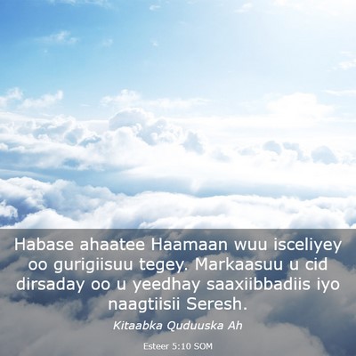 Picture 03 - Esteer 5:10 SOM - Habase ahaatee Haamaan wuu isceliyey oo - Bible Verse Picture
