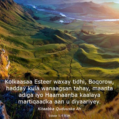Picture 03 - Esteer 5:4 SOM - Kolkaasaa Esteer waxay tidhi, Boqorow, hadday - Bible Verse Picture