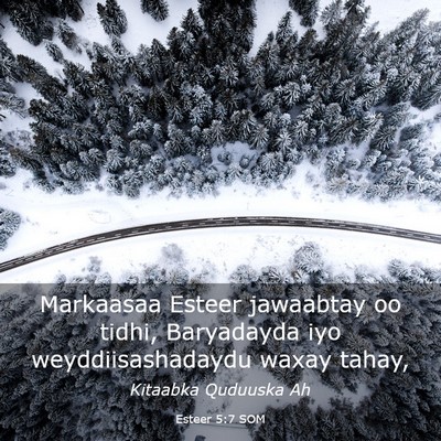 Picture 03 - Esteer 5:7 SOM - Markaasaa Esteer jawaabtay oo tidhi, Baryadayda - Bible Verse Picture