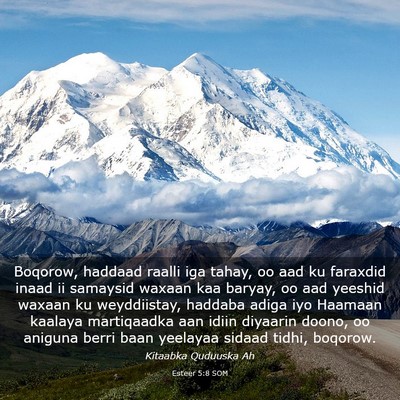 Picture 03 - Esteer 5:8 SOM - Boqorow, haddaad raalli iga tahay, oo aad ku - Bible Verse Picture