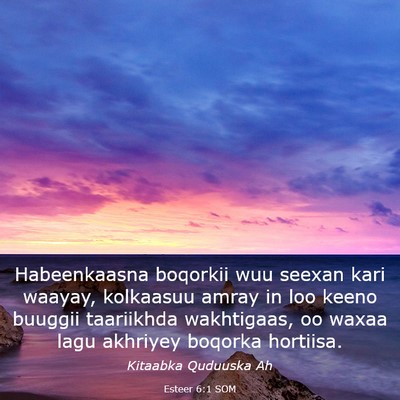 Picture 03 - Esteer 6:1 SOM - Habeenkaasna boqorkii wuu seexan kari waayay, - Bible Verse Picture