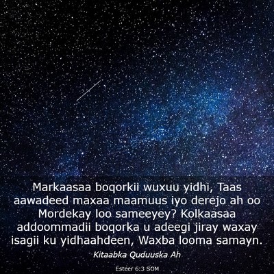 Picture 03 - Esteer 6:3 SOM - Markaasaa boqorkii wuxuu yidhi, Taas aawadeed - Bible Verse Picture