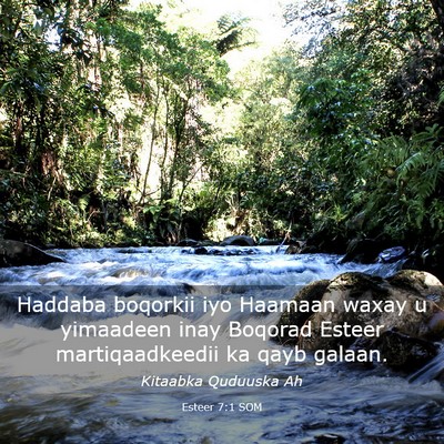 Picture 03 - Esteer 7:1 SOM - Haddaba boqorkii iyo Haamaan waxay u yimaadeen - Bible Verse Picture