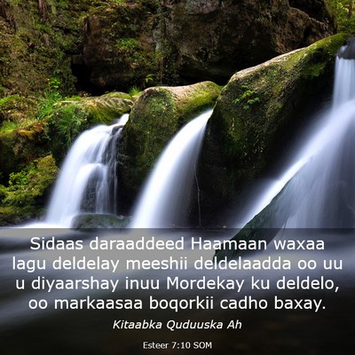 Picture 03 - Esteer 7:10 SOM - Sidaas daraaddeed Haamaan waxaa lagu deldelay - Bible Verse Picture