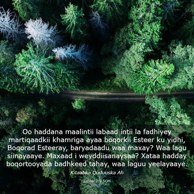 Picture 03 - Esteer 7:2 SOM - Oo haddana maalintii labaad intii la fadhiyey - Bible Verse Picture