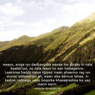 Picture 03 - Esteer 7:4 SOM - waayo, aniga iyo dadkaygiiba waxaa loo iibiyey in - Bible Verse Picture