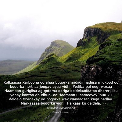 Picture 03 - Esteer 7:9 SOM - Kolkaasaa Xarboona oo ahaa boqorka - Bible Verse Picture