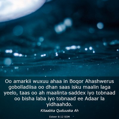 Picture 03 - Esteer 8:12 SOM - Oo amarkii wuxuu ahaa in Boqor Ahashwerus - Bible Verse Picture