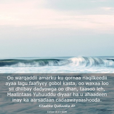 Picture 03 - Esteer 8:13 SOM - Oo warqaddii amarku ku qornaa naqilkeedii ayaa - Bible Verse Picture