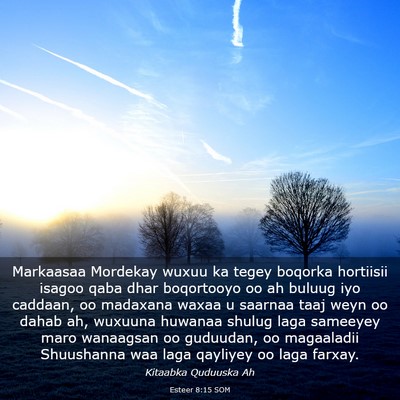Picture 03 - Esteer 8:15 SOM - Markaasaa Mordekay wuxuu ka tegey boqorka - Bible Verse Picture