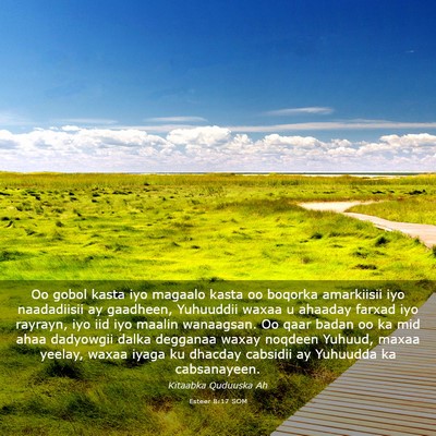 Picture 03 - Esteer 8:17 SOM - Oo gobol kasta iyo magaalo kasta oo boqorka - Bible Verse Picture