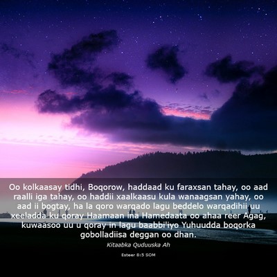 Picture 03 - Esteer 8:5 SOM - Oo kolkaasay tidhi, Boqorow, haddaad ku faraxsan - Bible Verse Picture
