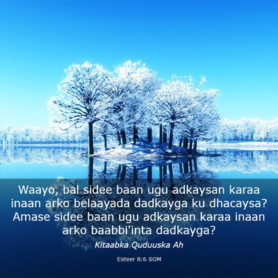 Picture 03 - Esteer 8:6 SOM - Waayo, bal sidee baan ugu adkaysan karaa inaan - Bible Verse Picture