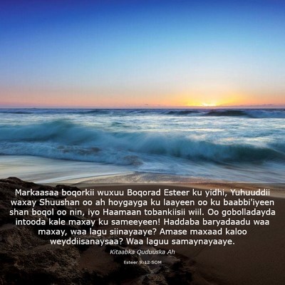 Picture 03 - Esteer 9:12 SOM - Markaasaa boqorkii wuxuu Boqorad Esteer ku yidhi, - Bible Verse Picture