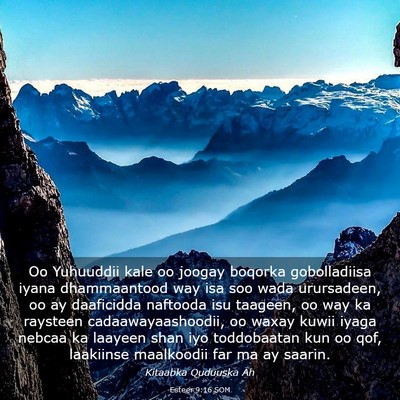 Picture 03 - Esteer 9:16 SOM - Oo Yuhuuddii kale oo joogay boqorka gobolladiisa - Bible Verse Picture