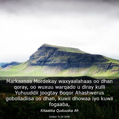 Picture 03 - Esteer 9:20 SOM - Markaasaa Mordekay waxyaalahaas oo dhan qoray, oo - Bible Verse Picture