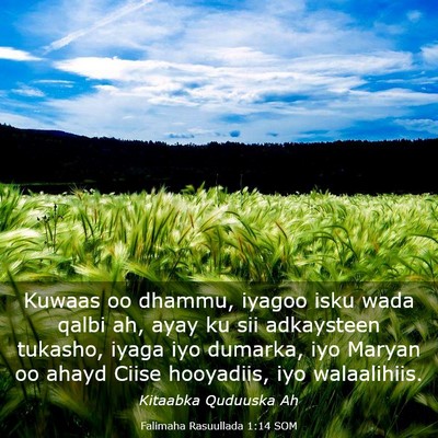 Picture 03 - Falimaha Rasuullada 1:14 SOM - Kuwaas oo dhammu, iyagoo isku wada qalbi ah, ayay - Bible Verse Picture
