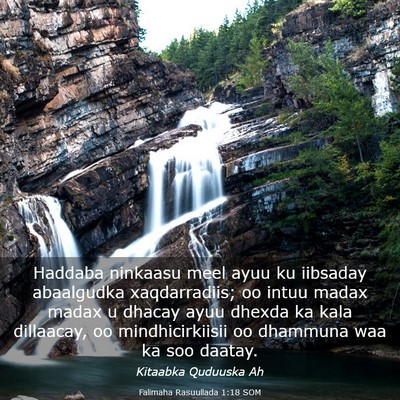 Picture 03 - Falimaha Rasuullada 1:18 SOM - Haddaba ninkaasu meel ayuu ku iibsaday abaalgudka - Bible Verse Picture