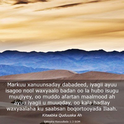 Picture 03 - Falimaha Rasuullada 1:3 SOM - Markuu xanuunsaday dabadeed, iyagii ayuu isagoo - Bible Verse Picture