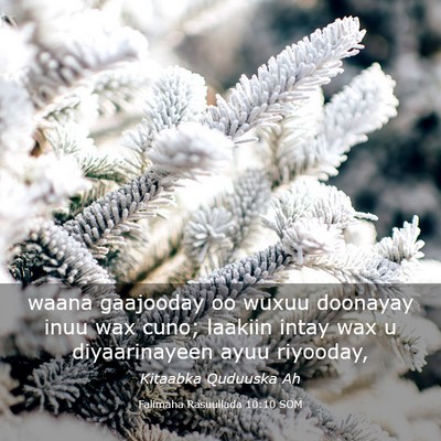 Picture 03 - Falimaha Rasuullada 10:10 SOM - waana gaajooday oo wuxuu doonayay inuu wax cuno; - Bible Verse Picture