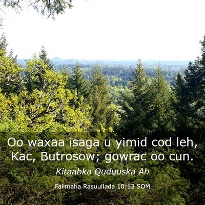 Picture 03 - Falimaha Rasuullada 10:13 SOM - Oo waxaa isaga u yimid cod leh, Kac, Butrosow; - Bible Verse Picture